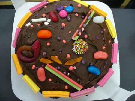 animal cell edible model. This is the animal cell model made by a group of students in year 11 Biology 